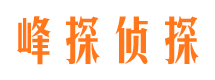 汝城侦探公司